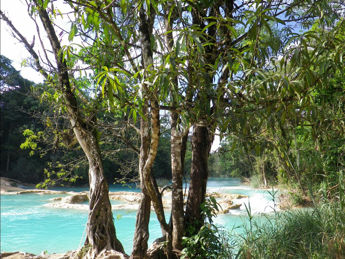 Agua Azul Waterfall15